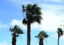 Se acerca la Dana a Canarias con lluvias, nieve y fuertes rachas de viento
