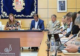 Unidad del Cabildo para pedir que no se autorice investigar las tierras raras «ni ahora, ni en el futuro»