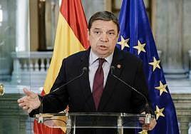 Planas se cierra en banda a la rebaja del IVA de los productos pesqueros