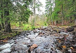 Los zafiros de la discordia