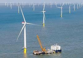 Las alegaciones del Cabildo a la eólica marina quieren «frenar el ataque» a la pesca artesanal