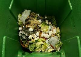 España tiró 2,8 millones de toneladas de comida a la basura en 2023