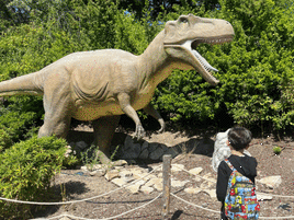 El viaje (paralelo) de fin de curso de Elan