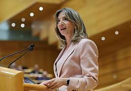 El PP registra su veto a la ley de amnistía en el Senado