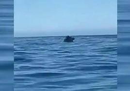 El freno de mano y la marcha del coche que cayó al agua desde un ferry «no actuaron correctamente», según Fred. Olsen