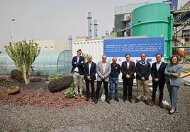 Microalgas del ITC captarán C02 de la central térmica de Juan Grande