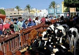 Agüimes convoca las ayudas para participar en la Feria de Ganado de San José Obrero