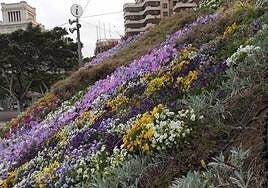 Jardines colgantes en la capital grancanaria