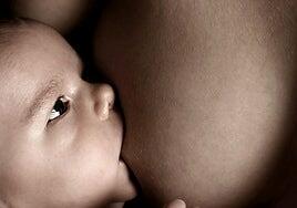 La leche materna cubre las necesidades de cada bebé: «Jamás se podrá imitar»