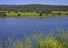 Los embalses ganan solo 17 hectómetros cúbicos, pero llegan a su mejor registro en casi 4 años