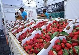 Valsequillo celebra su popular Feria de la Fresa