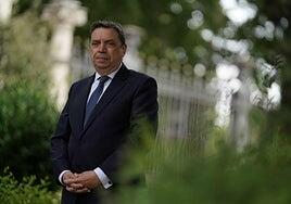 «No prejuzgo lo que el presidente decida, pero hay un proyecto que quiere continuar»