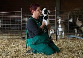 La doble cara de la cría de cabritos