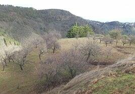 Aider asumirá la gestión del Banco de Tierras de Gran Canaria