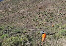 Menos capturas y avistamientos de serpientes en lo que va de 2024