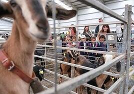 La chiquillería rebosa Feaga