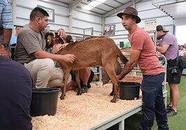 Más de 45.000 almas en Feaga