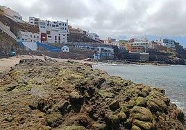 Sardina del Norte: un delicioso recorrido gastronómico