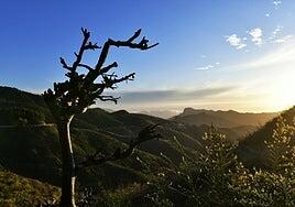 Cambio climático. Una amenaza real en África