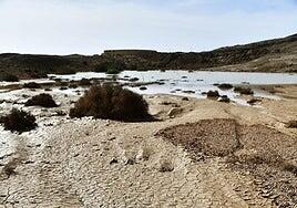 Nuestras tierras, nuestro futuro