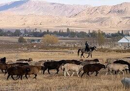 7 formas de restaurar las tierras, detener la desertificación y combatir la sequía