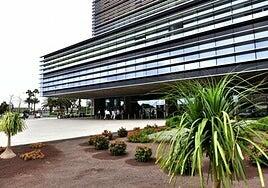 «Al final podemos morir todos, ¿quieres que vaya a por los cuchillos»