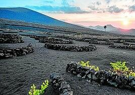 Lanzarote: La isla que no se parece a ninguna