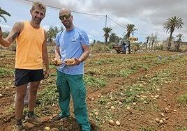 Francis y Rafa cogen casi 300 sacos de papas