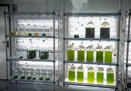 La Spegc participa en cinco proyectos innovadores del programa Interreg-MAC