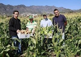 Valsequillo, tierra de papas y millo