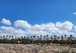 Canarias espera calor y cielos despejados este martes