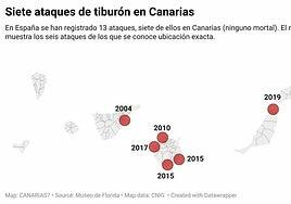 Siete ataques de tiburón en Canarias desde que hay registros, ninguno mortal