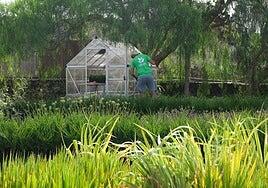 Educación suprime de un plumazo diez ciclos formativos en Fuerteventura