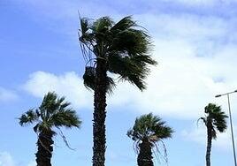 El viento coge fuerza en una jornada de cielos azules y temperaturas frescas