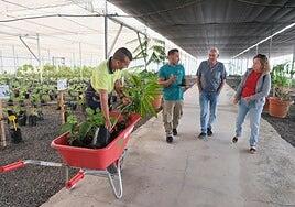 «Apúntame un naranjero, un moral y un mango, que vienen bonitos»