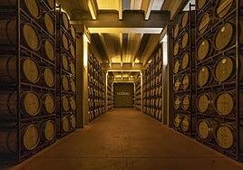 Bodegas Figuero, la historia de una familia y mil cepas