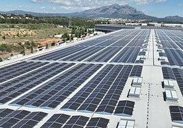 Mercadona inaugura su mayor planta solar para dar energía limpia a toda la cadena