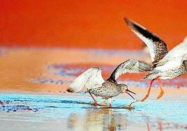 África, cambio climático y alertas tempranas