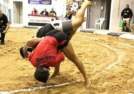 Actas electrónicas y controles antidoping, novedades para la temporada 2024-25 de lucha canaria