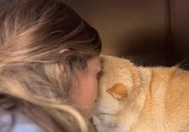 Carlos Baute y Astrid Klisans pasan un momento de «angustia» al atropellar a su perra por accidente