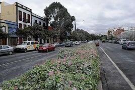 Guiniguada, Barranco de