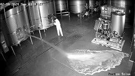 Detenida una mujer por el sabotaje de 60.000 litros de vino en una bodega de Valladolid