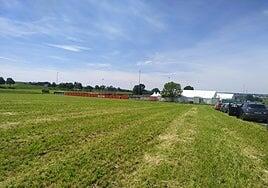 Paz en la Selva Negra para la selección
