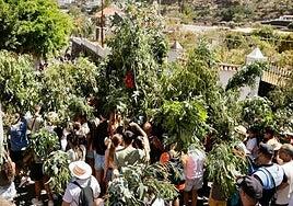 Canta y no llores por San Pedro: el Valle volvió a bailar su Rama