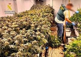 Desmantelan en Adeje varios puntos de venta de drogas ocultos bajo una falsa Asociación de Fumadores