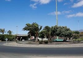 29,6 millones para conservar las zonas verdes de las carreteras grancanarias