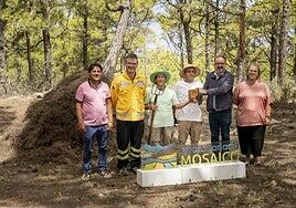 La distinción Gran Canaria Mosaico de junio es para los pinocheros de la cumbre