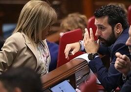 El Parlamento inicia el trabajo de adaptar el REF «por consenso»