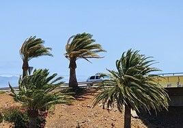 El fin de semana traerá de la mano el buen tiempo a Canarias