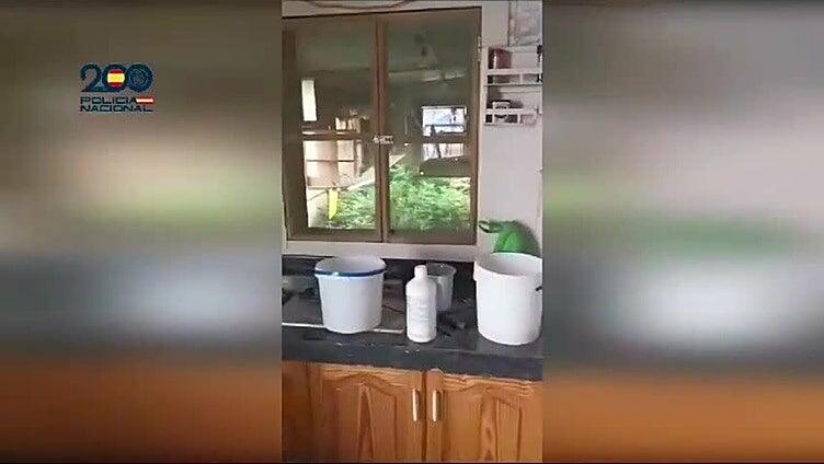 La Policía Nacional detiene a tres personas y desarticula una plantación de marihuana en Gran Canaria